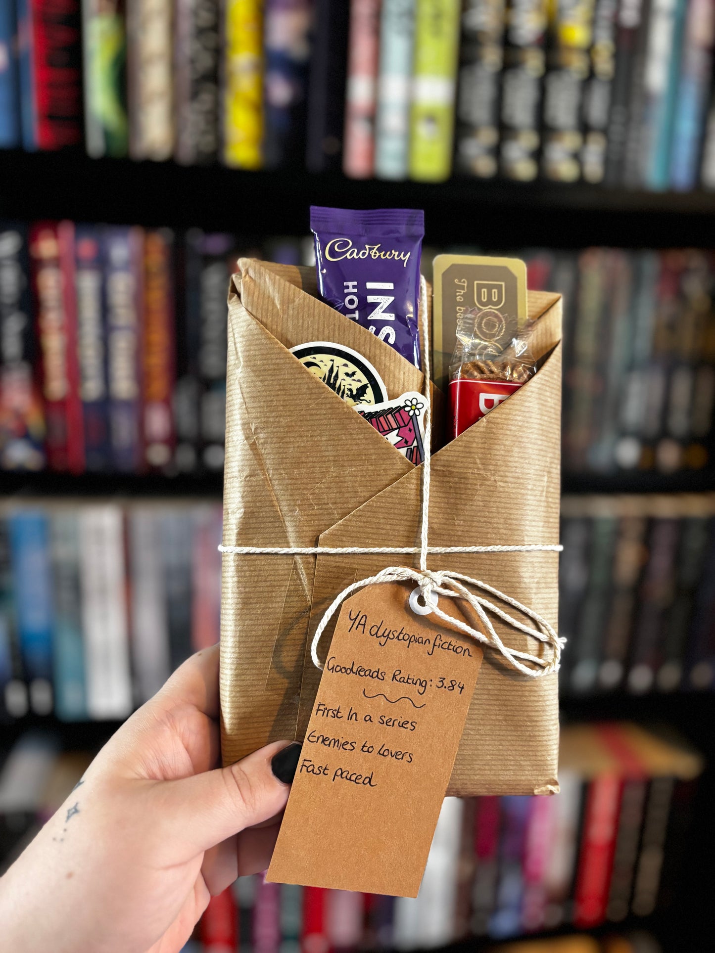 Blind Date with a Preloved Book - YA Dystopian Fiction