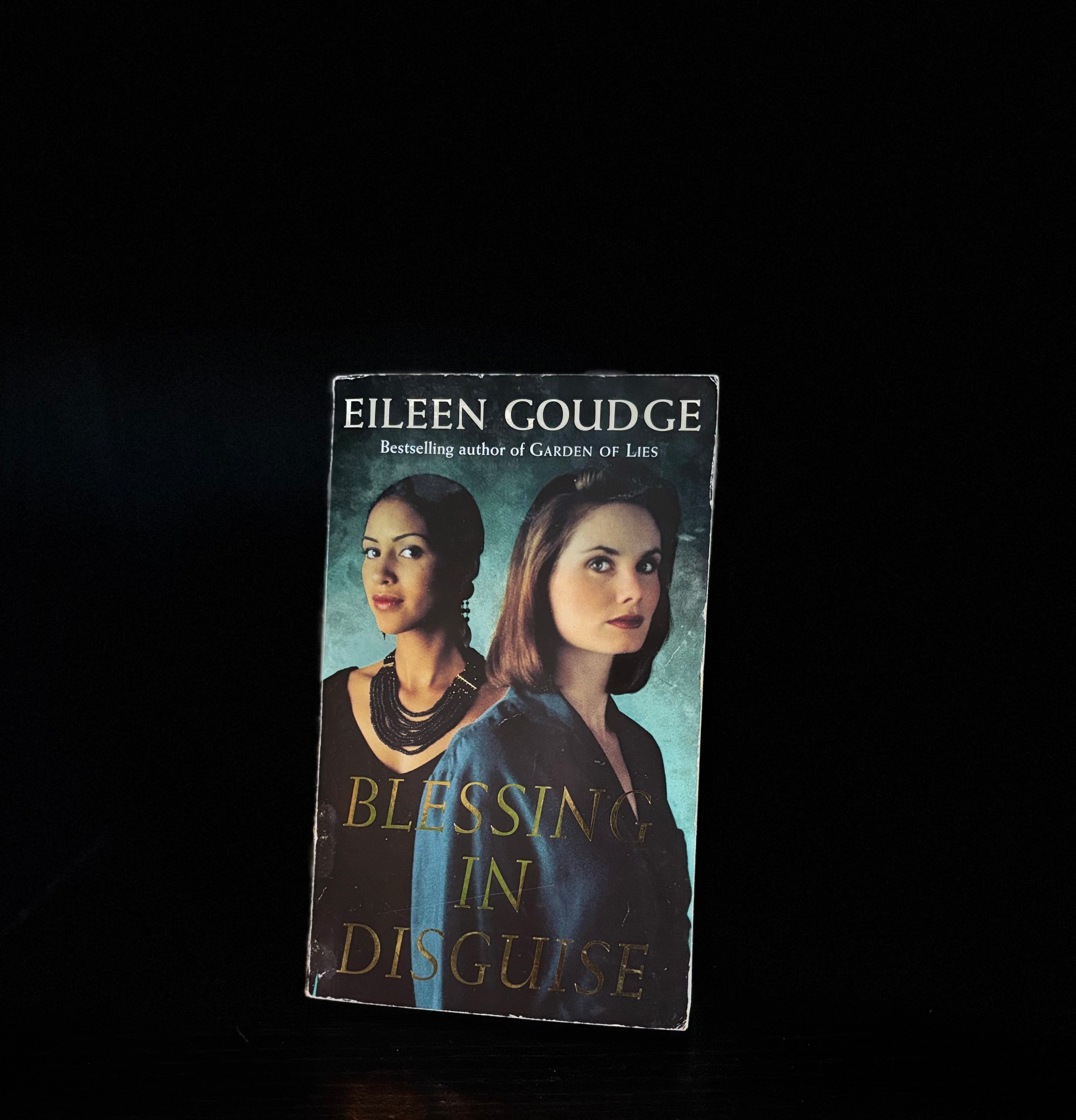Blessing In Disguise by Eileen Goudge