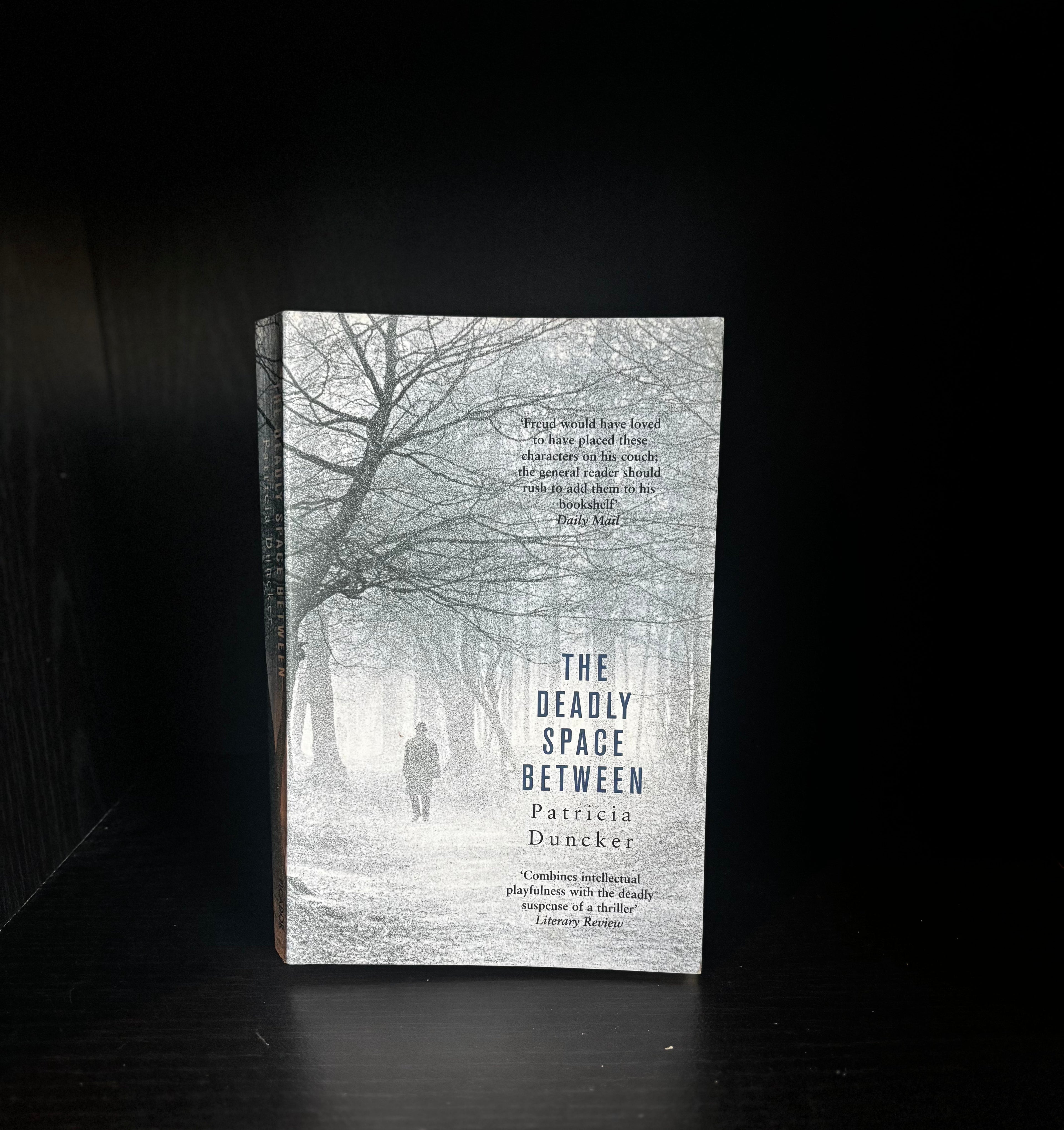 The Deadly Space Between by Patricia Duncker