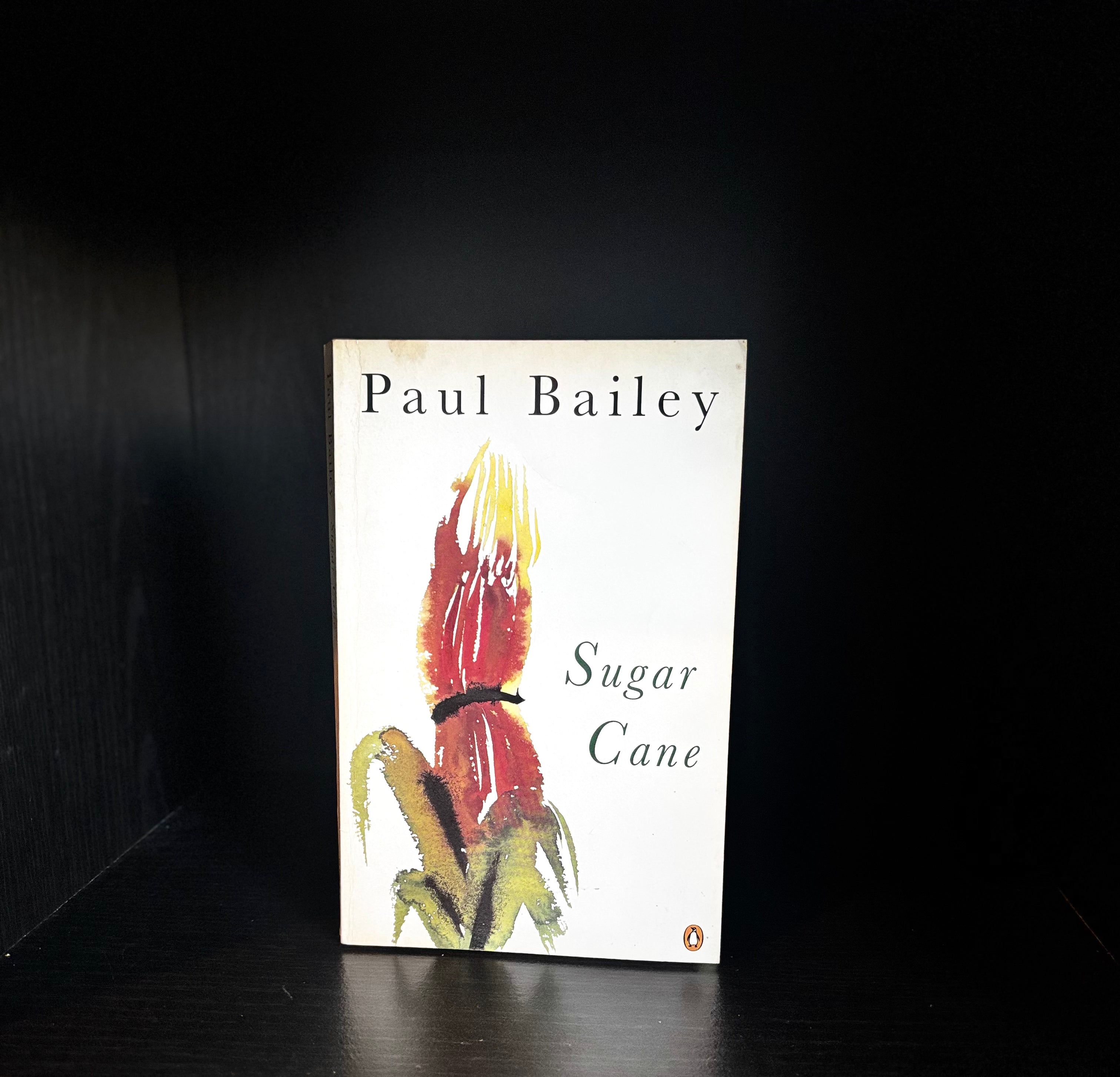 Sugar Cane by Paul Bailey