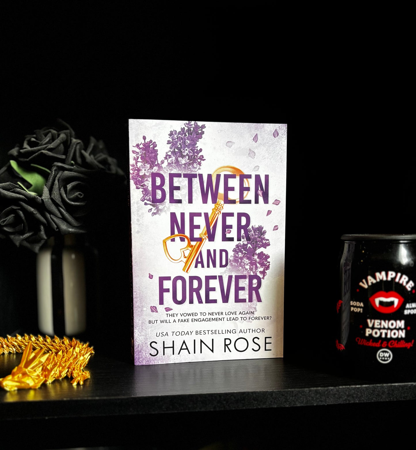 Between Never And Forever by Shain Rose